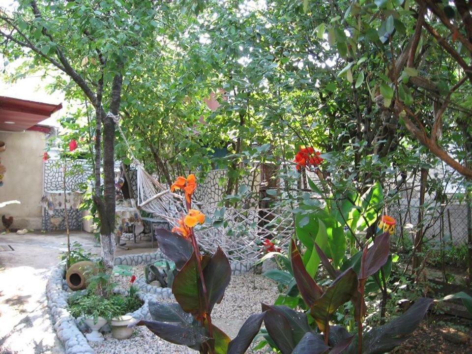 Hostel Temuri Koutaïssi Extérieur photo